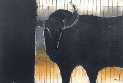Bull with Stripey Field