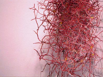 Shauna McMullan, Dislocations