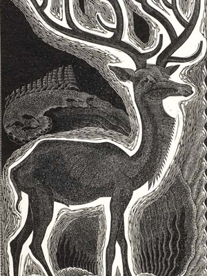 Stag 1932