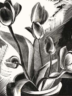 Tulips 1926