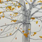 ALI MORGAN - Spring - Summer - Autumn - Winter - Forty Tree Drawings Autmn 08