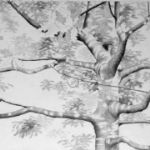 ALI MORGAN - Spring - Summer - Autumn - Winter - Forty Tree Drawings Summer 02