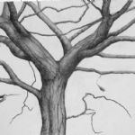 ALI MORGAN - Spring - Summer - Autumn - Winter - Forty Tree Drawings Winter 05