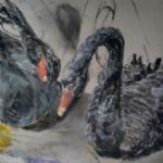 Andrea Newman , Black Swan Pair - 