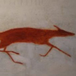 Kate Boxer
Fox