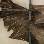 norman adams butterflies