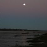 The Estuary at Night - PORTRAITS OF A RIVER