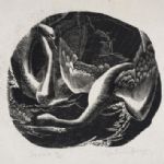 Swans