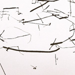 Andrew Vass - NORTH HOUSE GALLERY