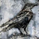 ALAN TURNBULL - Etchings and Drawings Crow (Je suis Saint Esprit)