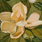 Magnolias