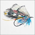 Fly