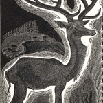 GERTRUDE HERMES - Wood-engravings, Linocuts & Drawings Stag 1932
