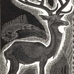 Stag 1932