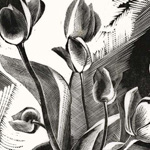 GERTRUDE HERMES - Wood-engravings, Linocuts & Drawings Tulips 1926