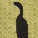 KATE BOXER - Paintings and Prints Cormorant on Coloured Paper