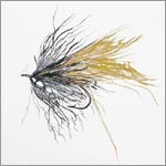Wild Fly