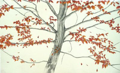 Autumn 07