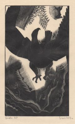 Birds from Birds Beasts and Flowers