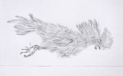 Brinknhurst - Cockerel