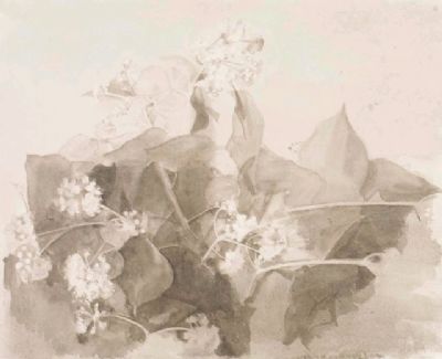 Ivy, 2012