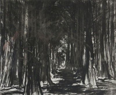 Jason Hicklin, Fox Covert, Etching