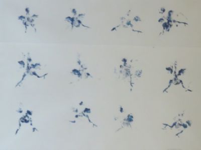 Chicks, Monoprint