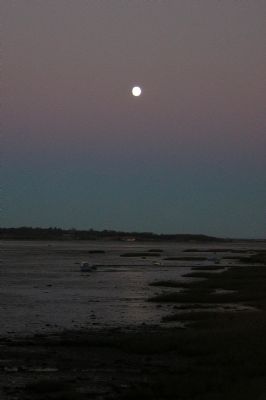 The Estuary at Night