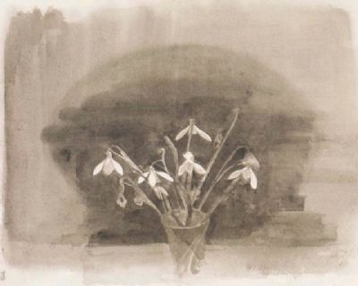 Snowdrops, 2012