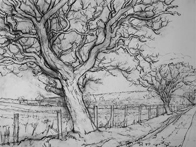 Road across Barden Moor (2)