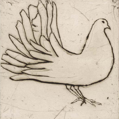 Fantail Dove