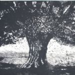 EARTH NOW - Part of PACE Manningtree's Earth Festival 2026 Alan Turnbull
Oak Tree in Summer