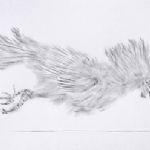Brinknhurst - Cockerel - 