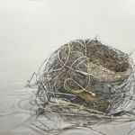 EARTH NOW - Lillias August
Common Blackbird's Nest - Lillias August, Barbara Beyer, Neil Bousfield, Fran Crowe, Melvyn King and Alan Turnbull