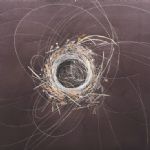 EARTH NOW - Lillias August
Fibre optic nest - Lillias August, Barbara Beyer, Neil Bousfield, Fran Crowe, Melvyn King and Alan Turnbull