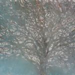 LUKE ELWES - CELESTIAL CONFETTI Locus
