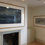 JULIAN MEREDITH - Extinction Rebellion Otters and Spur Dogfish