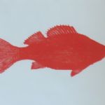 JULIAN MEREDITH - Extinction Rebellion Red Perch,  Woodcut