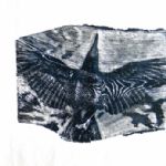 JULIAN MEREDITH - Fin - River - Swift Meredith Rook