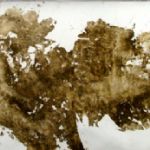 JULIAN MEREDITH - Extinction Rebellion Sperm Whale's Flukes, Monoprint