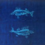 JULIAN MEREDITH - Extinction Rebellion Meredith Two Perch, Monoprint