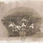 CHARLOTTE  VERITY - IN AND OUT OF THE GARDEN Snowdrops, 2012