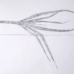 Brinkhurst - Still life leek - 