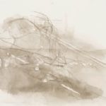 CHARLOTTE  VERITY - IN AND OUT OF THE GARDEN Winter Blossom and Road, 2012