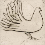 KATE BOXER - Paintings and Prints Fantail Dove